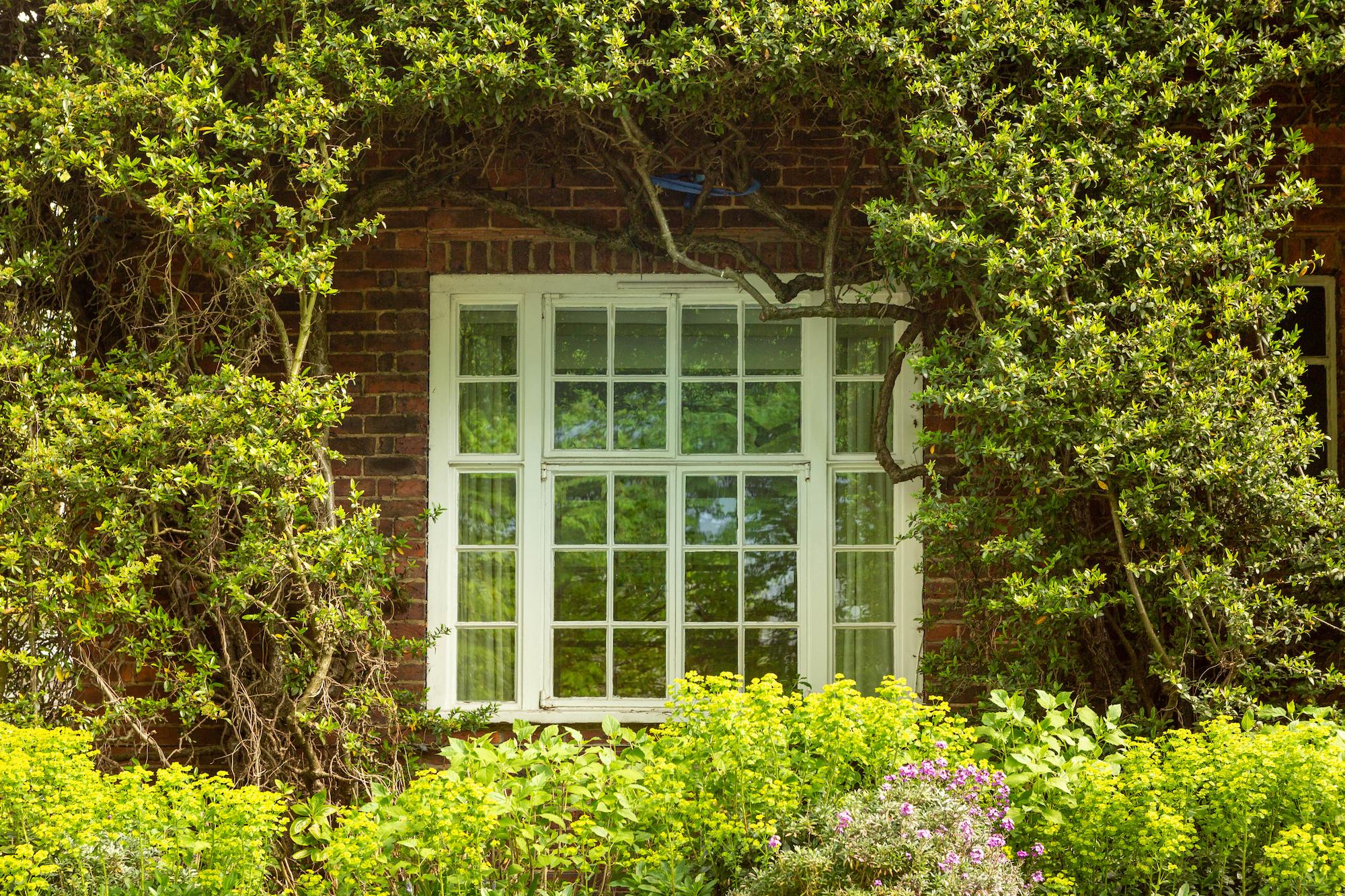 Elevate Your Home With Eco-Friendly Double Glazing Solutions