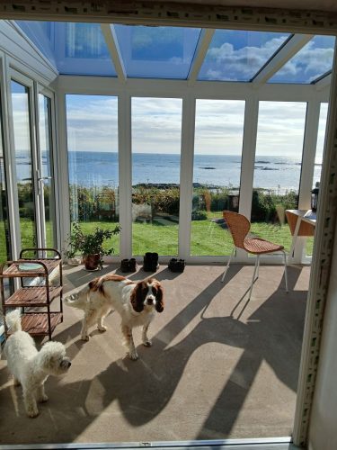 inside view of a new conservatory installation by turkington, featuring two dogs